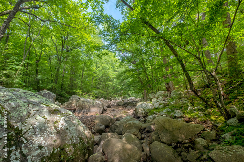 Sitton s Gulch Trail  Cloudland Canyon State Park  Georgia  USA