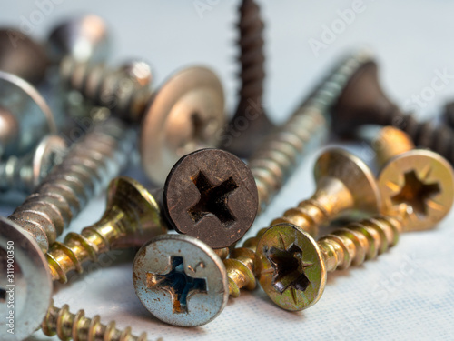 Old screws of different colors and sizes