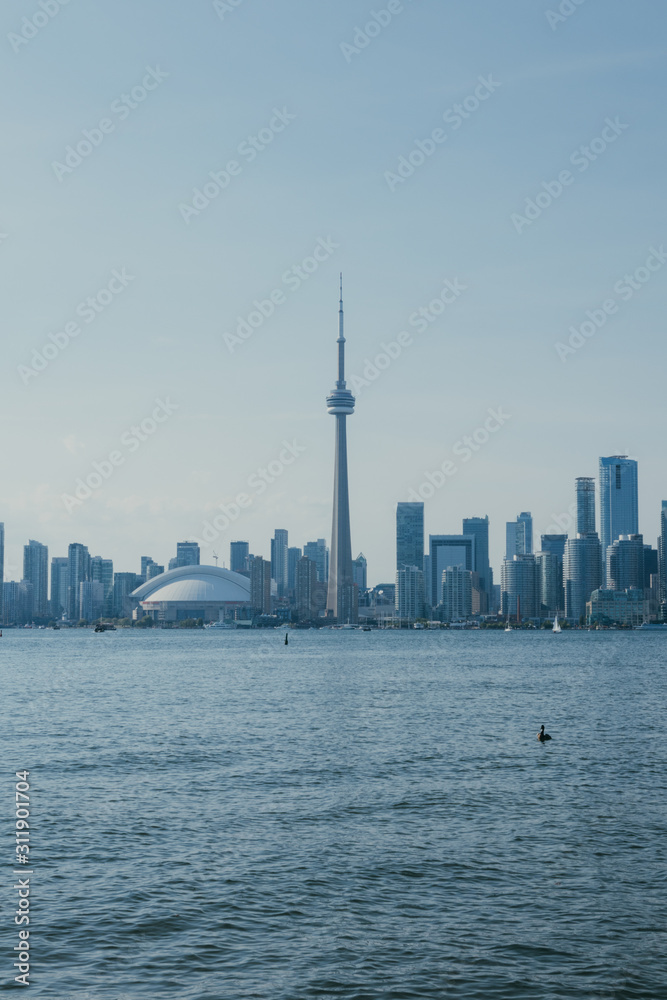 Obraz premium Toronto Skyline