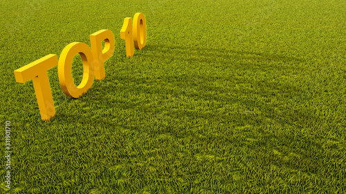 Top 10 Text On Green Grass, Ecology Concept, 3D Rendering