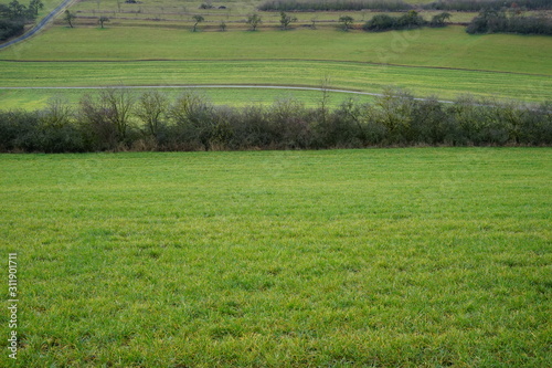 Grüne Felder in Hanglage