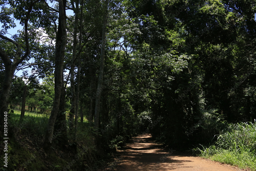 Obraz premium caminho