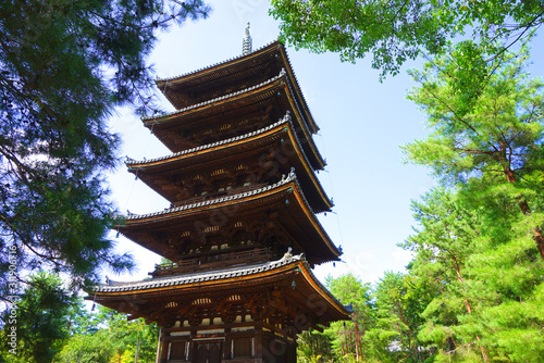 Five Storied Pagoda at Ninnaji Temple, Kyoto City, Kyoto Pref., Japan photo