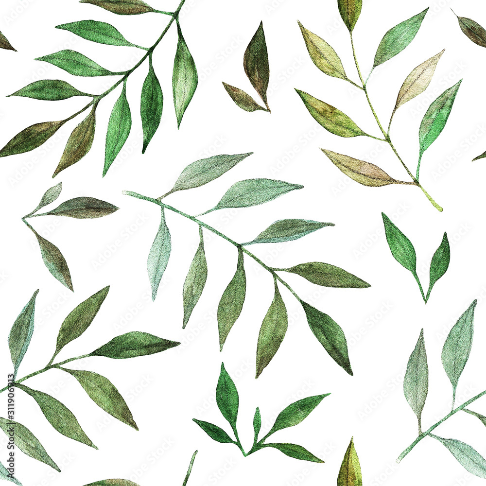 Fototapeta premium Green leaves, watercolor
