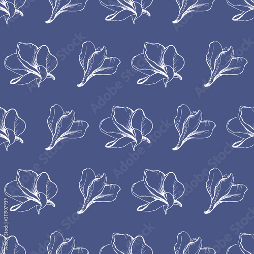 Vector seamless graphic pattern with  Flowers of Plumeria Alba. Doodle style. Hand drawing  Frangipani. For texrile design, Fabric. Tissue paper