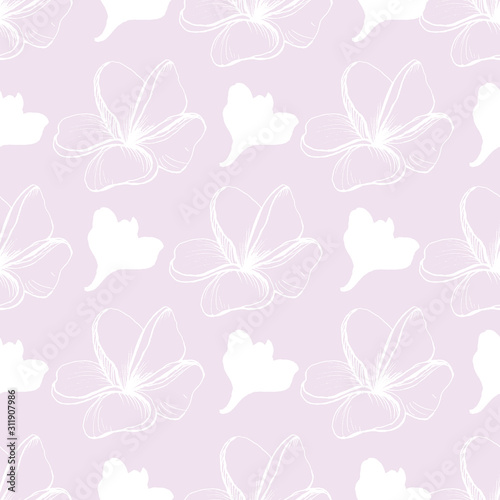 Vector seamless graphic pattern with Flowers of Plumeria Alba. Light pink background with white flowers. Doodle style. Hand drawing Frangipani. For texrile design, Fabric. Tissue paper