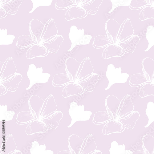 Vector seamless graphic pattern with  Flowers of Plumeria Alba. Light pink background with white flowers.  Doodle style. Hand drawing  Frangipani. For texrile design, Fabric. Tissue paper