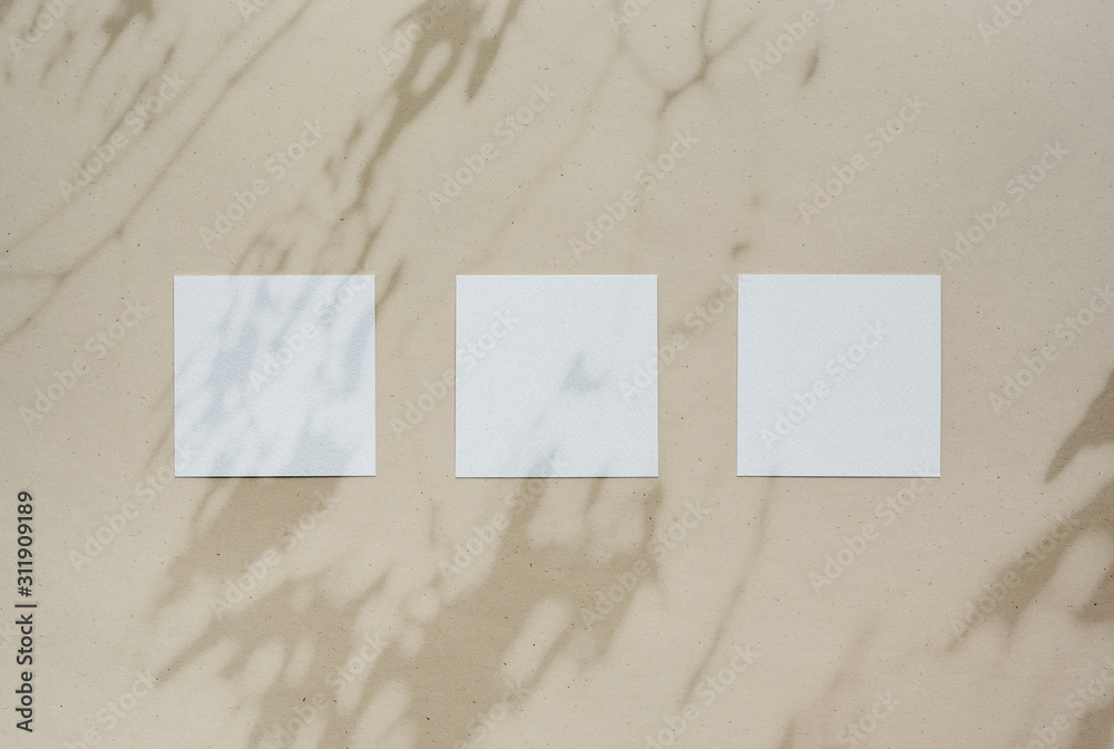 Fototapeta premium Empty eco paper sheets brown bg shadow overlay