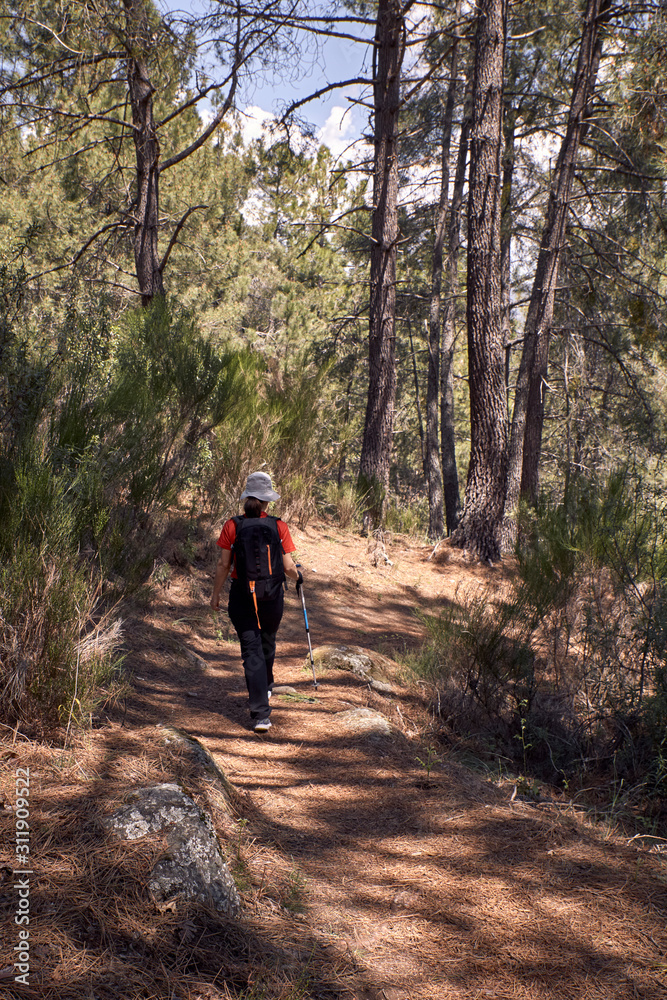 Woman doing trekking in nature