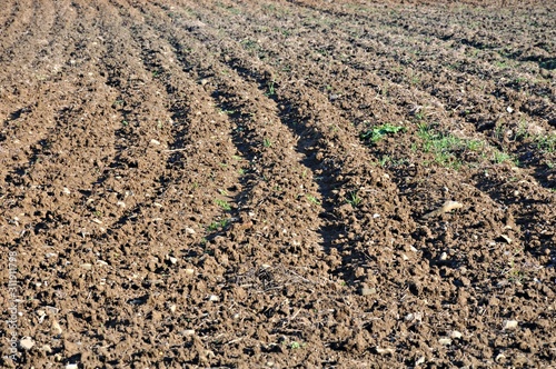 Solchi arati in un campo di pianura