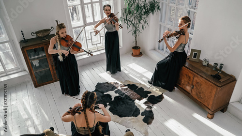 Photos Four Classical Musicians Giving A Concert Inside Spacy And Well-furnished Room