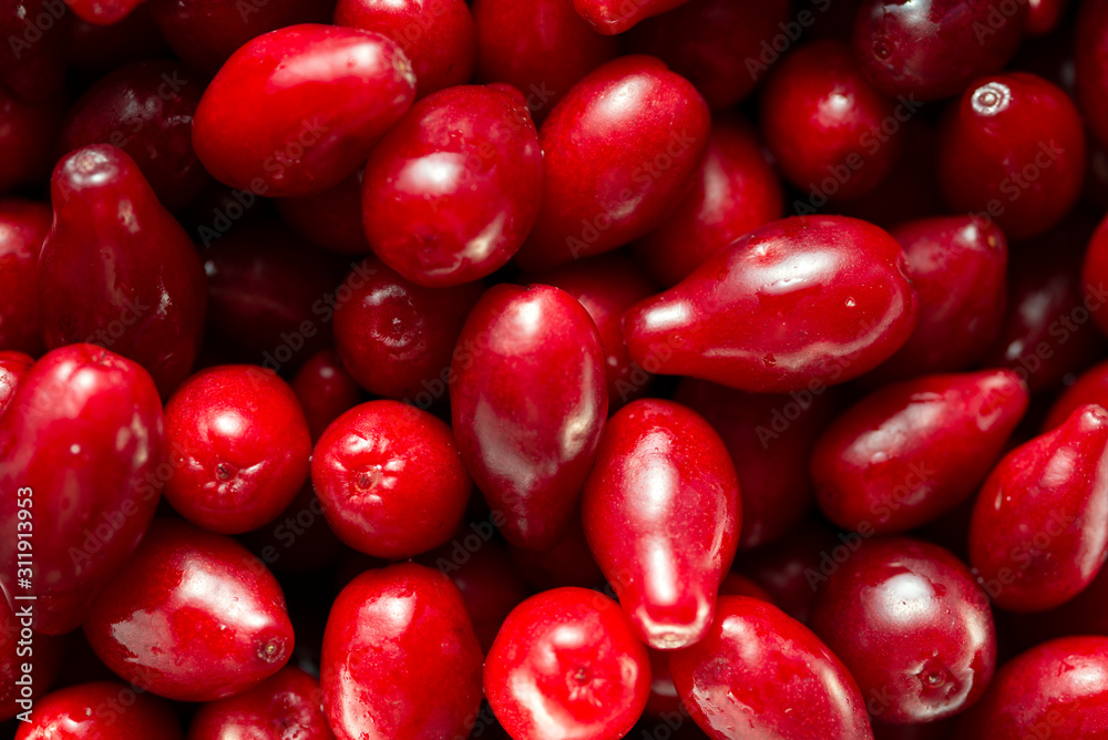A lot of bright red dogwood fruits, macro shot, top view A lot of bright red dogwood fruits, macro shot, top view