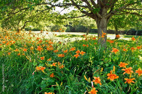 Bright Summer Day