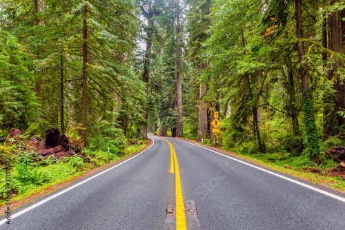 Redwood Highway in Redwood National Park California USA