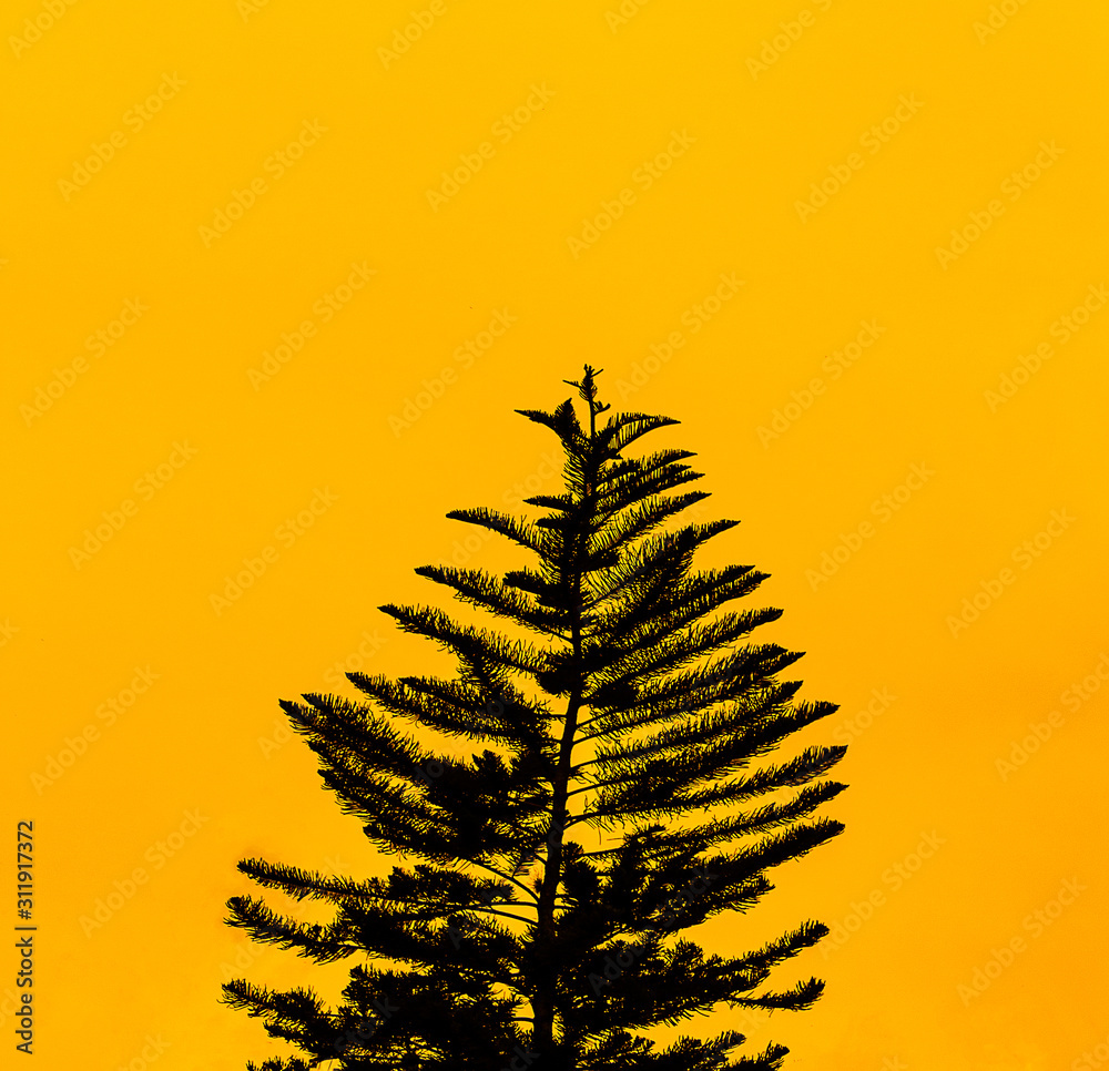 Naklejka premium Yelow sky