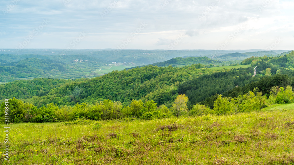 view of the mountains and trees forest in istria, croatia, europe, after the rain with clouds in the sky. Looks like jurassic park