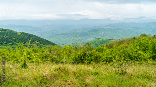 view of the mountains and trees forest in istria, croatia, europe, after the rain with clouds in the sky. Looks like jurassic park