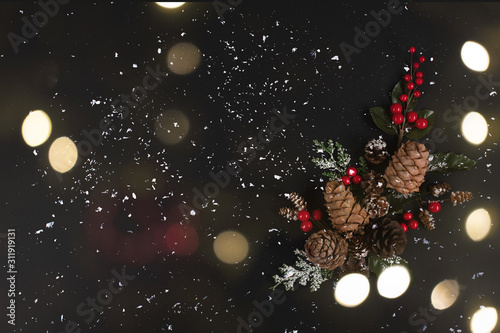 Forest pinecones  red berries and green leaves in snow on the black background.