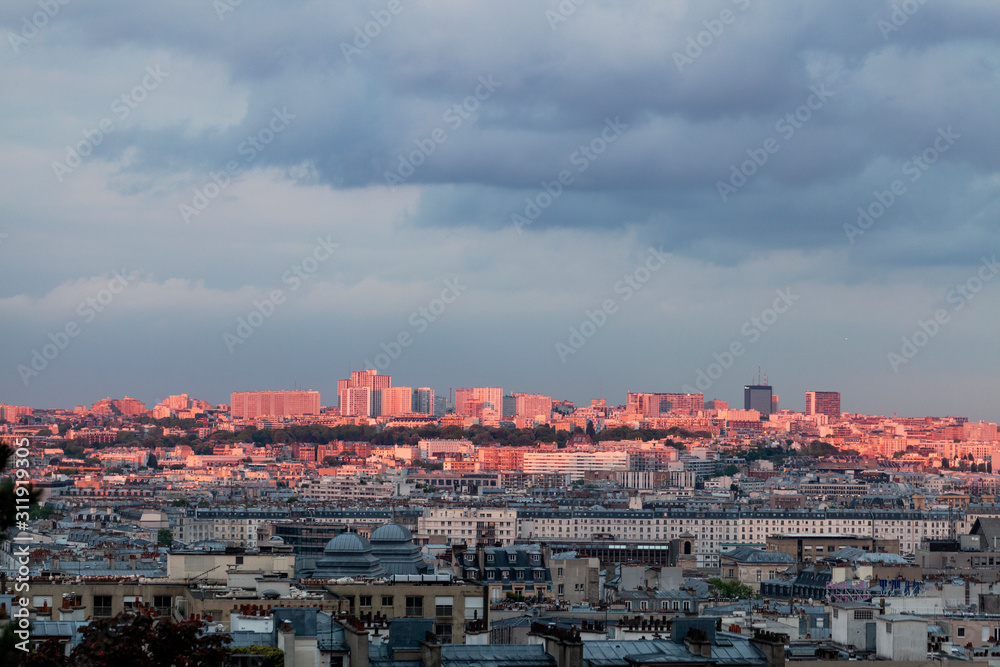 Panorama of the city of Paris in pink