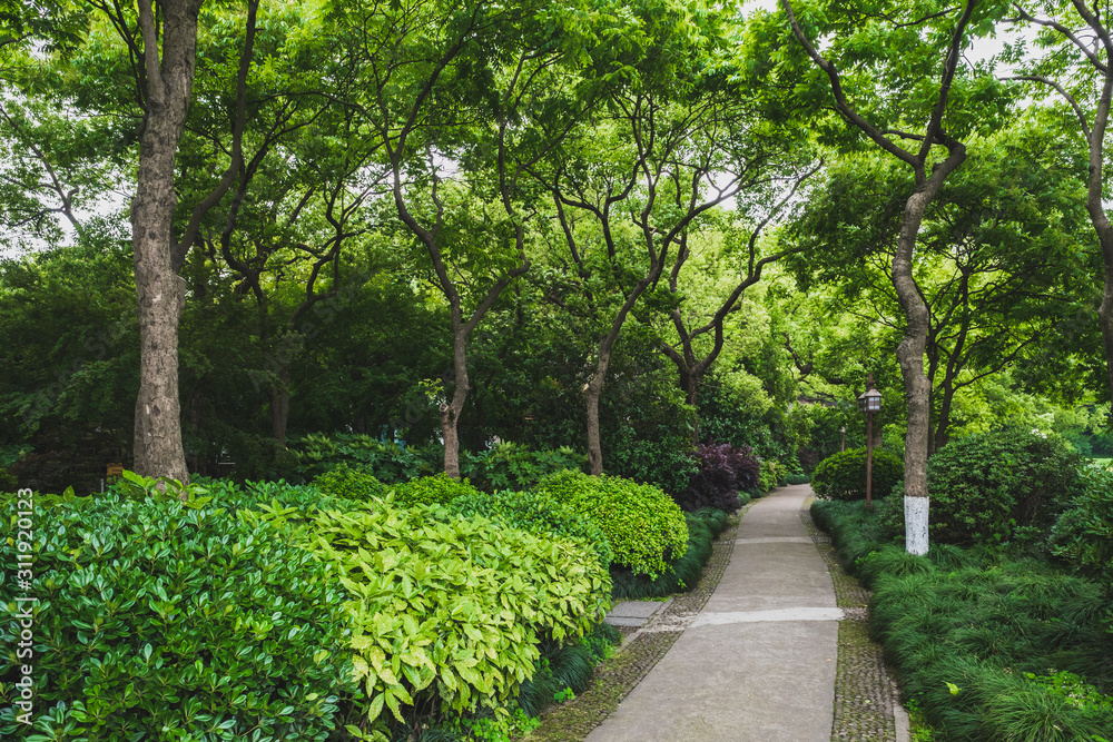 Path among trees in park by West Lake, Hangzhou, China