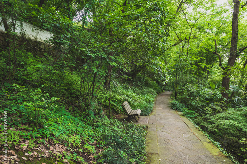 Fototapeta Naklejka Na Ścianę i Meble -  Path among trees in park by West Lake, Hangzhou, China