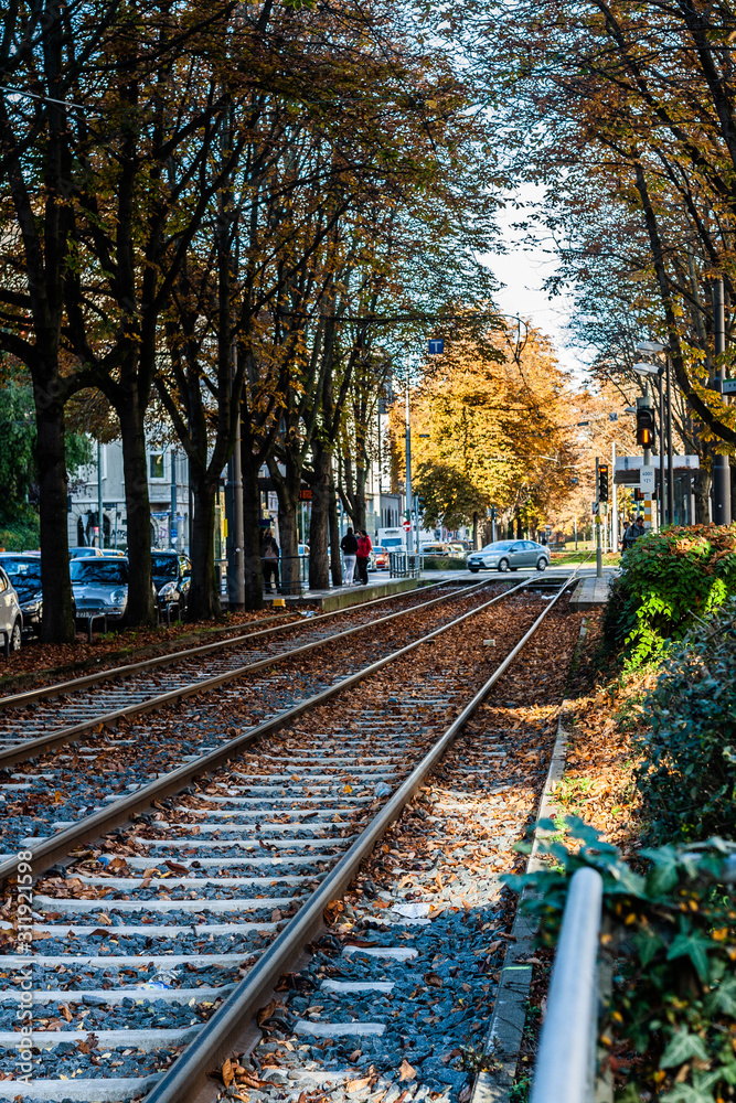 Fototapeta premium Frankfurt