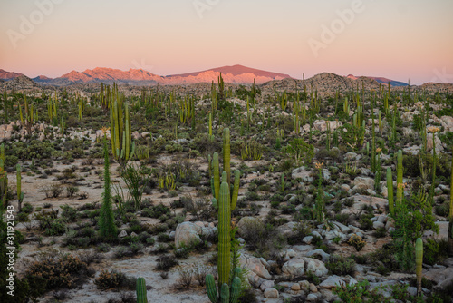 Papier peint Desert landscape