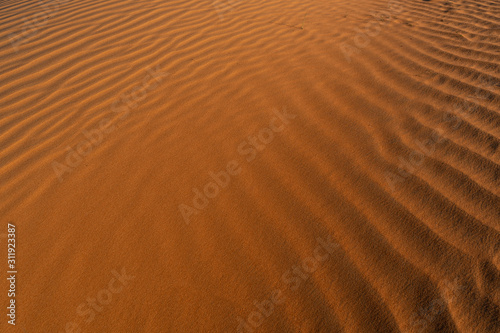 Red sand background with shadows from sunset sun, shot in desert at summer evening. Safari destination. © Igor Shaposhnikov