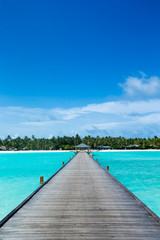 beach and tropical sea . nature background