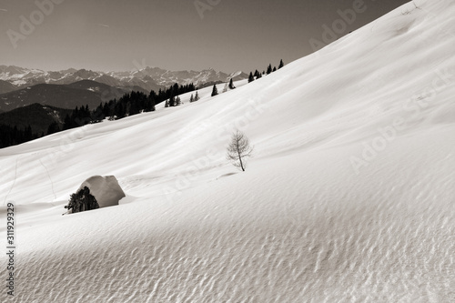 Winteralmen im Salzburger Land