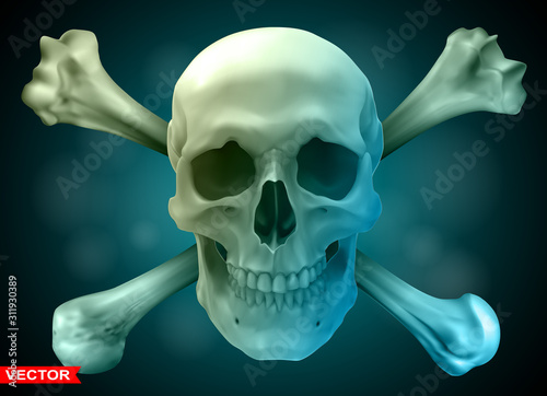 Detailed graphic photorealistic black and white human skull with crossed bones. On dark blue background. Vector icon.