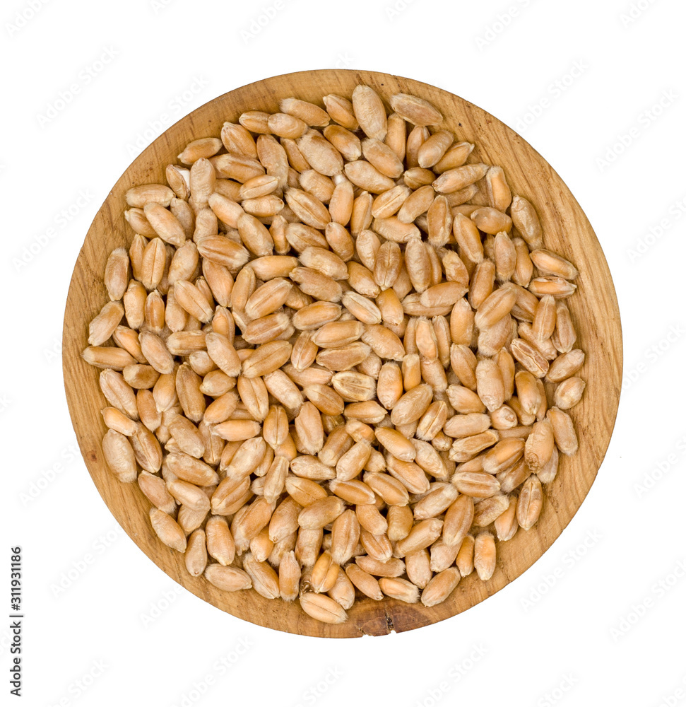 Wheat isolated on white background, top view