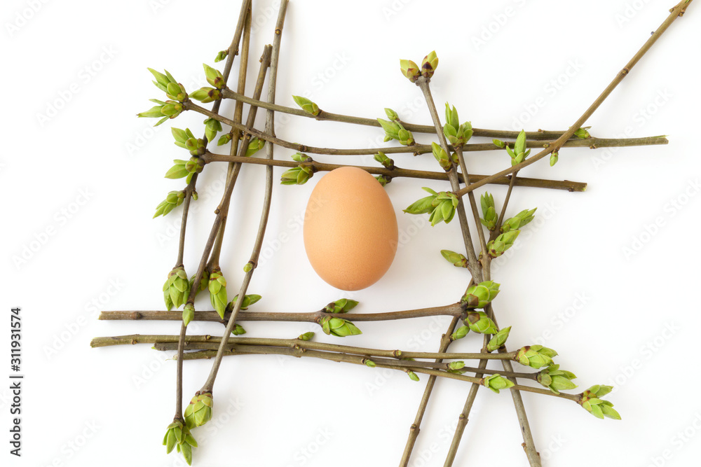Easter or vernal composition with egg in nest of budding twigs on white background, top view Easter or vernal composition with egg in nest of budding twigs on white background, top view
