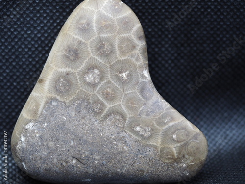 Naturally Heart Shaped Petoskey Stone