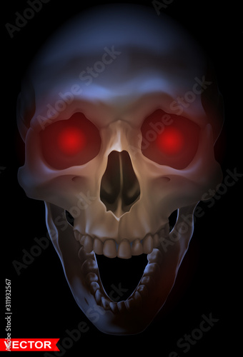 Detailed graphic photorealistic black and white smiling human skull with red eyes. On black background. Vector icon. Front view.