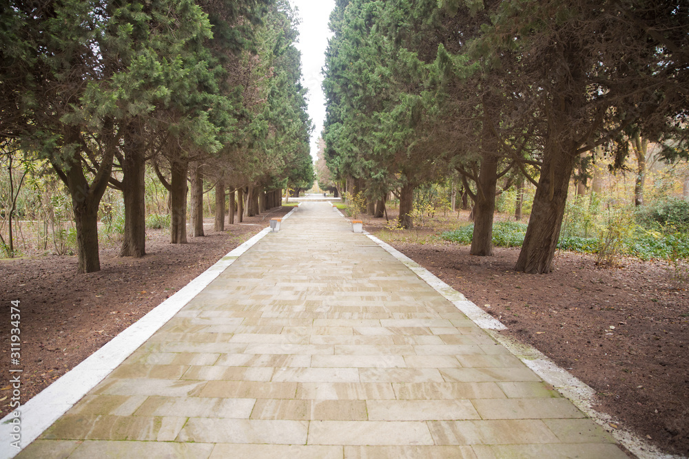 The stone path inside the park . stone path between pine trees .