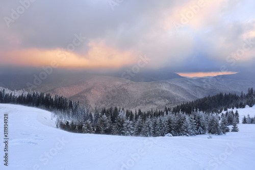 Landscape with mountains, snowy forest and beautiful sunrise. Majestic winter scenery. Dramatic sky. Meadow covered with snow. Wallpaper background. Location place Carpathian, Ukraine, Europe.