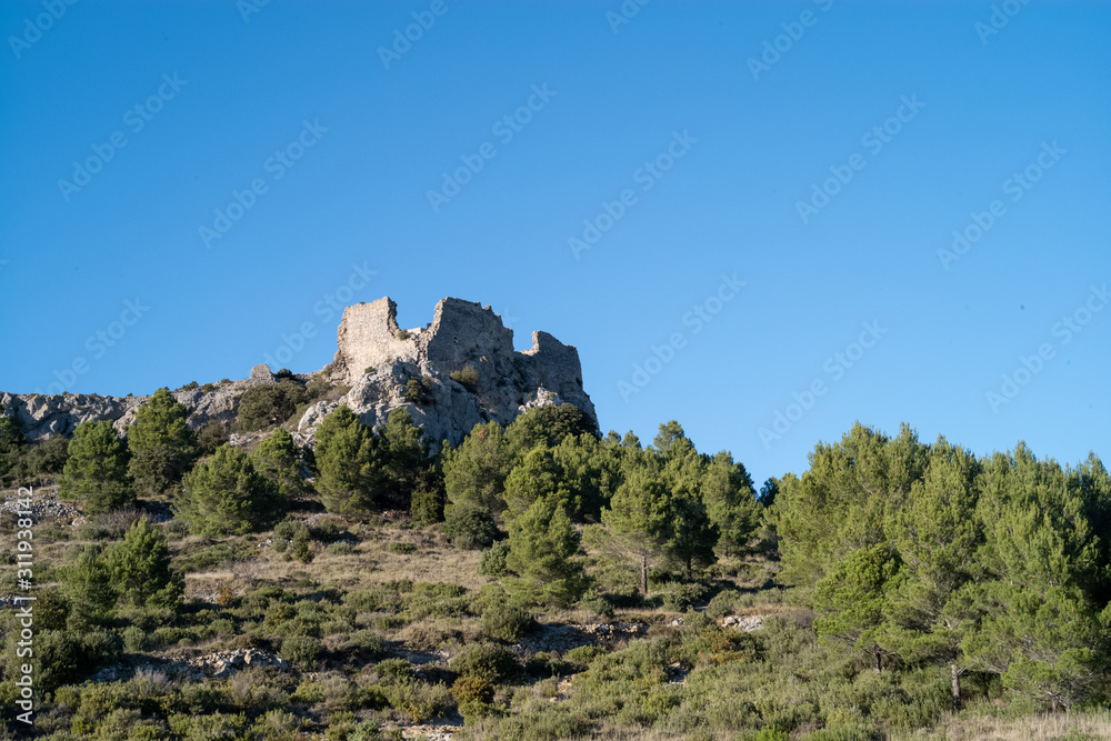 landscape in mountains