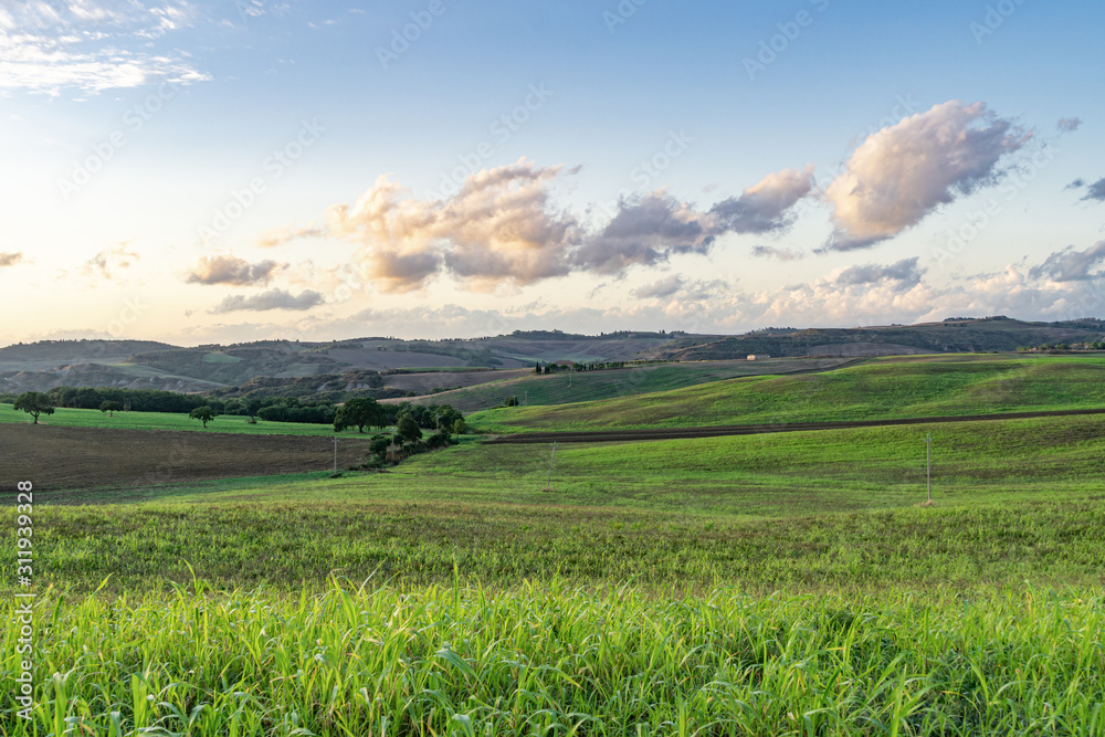 Wide view over the green rolling hills of the Tuscan