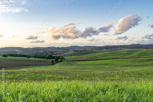 Wide view over the green rolling hills of the Tuscan © Leonid