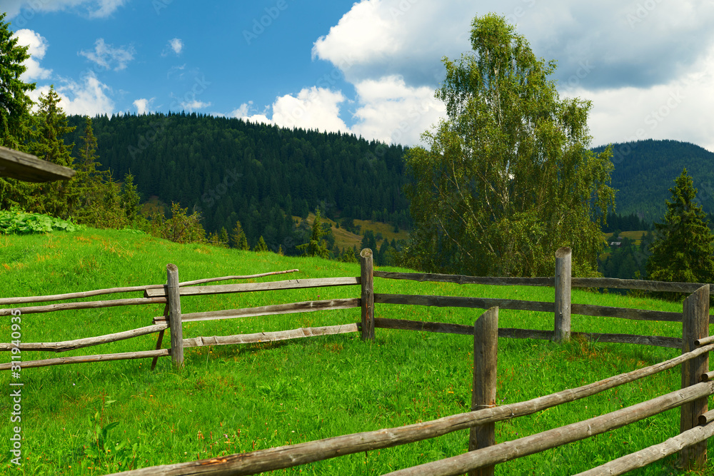 wooden fence on a ranch closeup, beautiful summer landscape, spruces on hills, cloudy sky and wildflowers - travel destination scenic, carpathian mountains