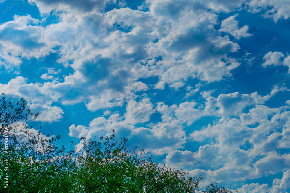 Nubes de algodón Nubes de algodón