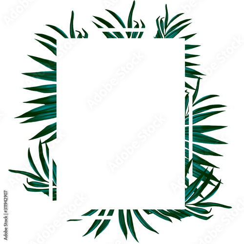 Green tropical leaves are framed. Greeting card and invitation design template. Trending illustration. Beach holidays  tours  promotions and flyers