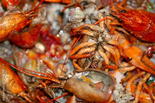 Boiled crayfish, their paws and shells, texture, macro shot with blurred background and bokeh.