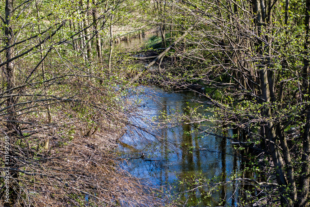 a small blue river winding through the forest among the lush vegetation covered by spring leaves a small blue river winding through the forest among the lush vegetation covered by spring leaves