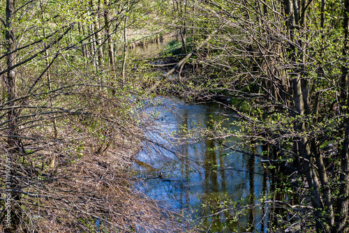 a small blue river winding through the forest among the lush vegetation covered by spring leaves