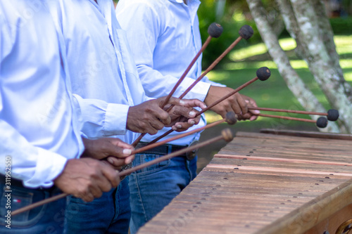 marimba mallets and wooden keyboard close up, partial of musician torsos on white shirts