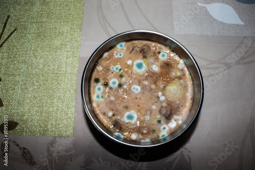 Eine lange Zeit aufbewahrtes und vergammeltes Essen 