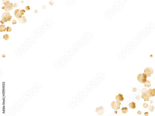 Underwater scallop, bivalve pearl shells
