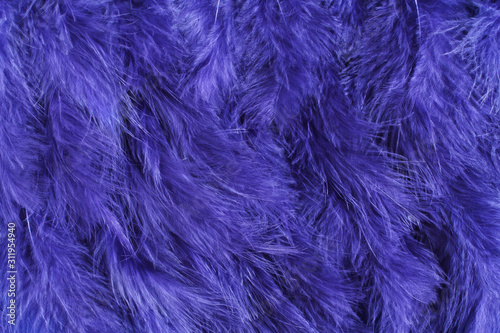 Background of small navy blue feathers.